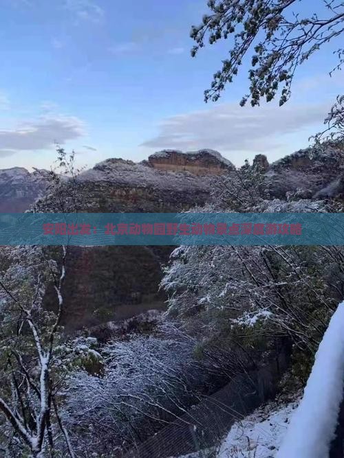 安阳出发：北京动物园野生动物景点深度游攻略