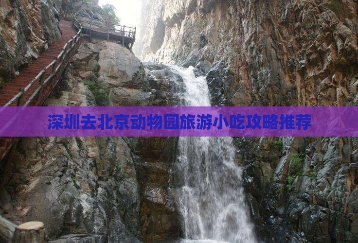 深圳去北京动物园旅游小吃攻略推荐