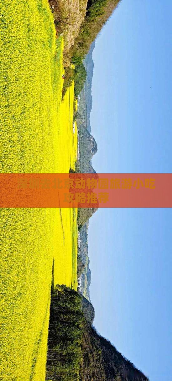 深圳去北京动物园旅游小吃攻略推荐