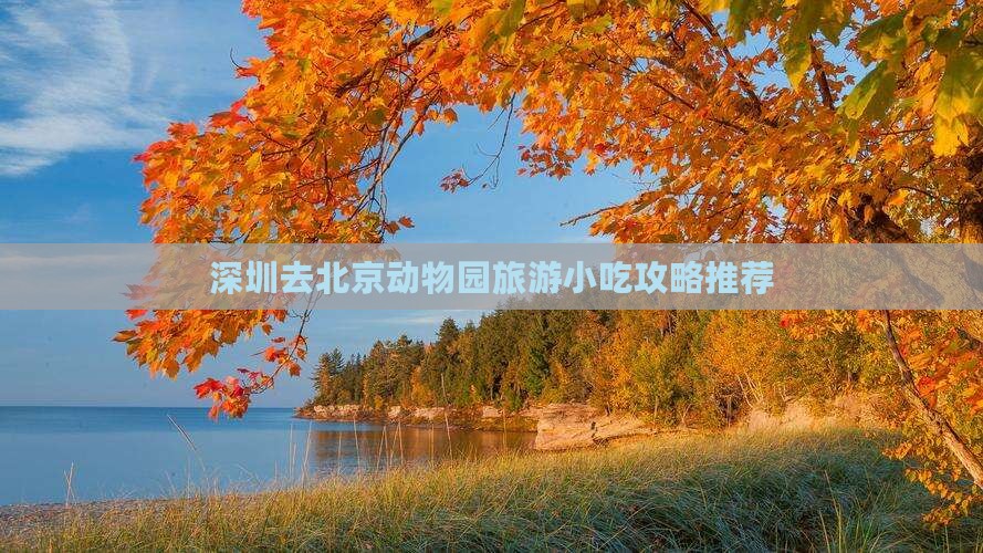 深圳去北京动物园旅游小吃攻略推荐