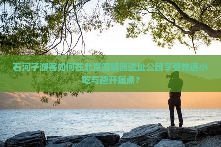 石河子游客如何在北京圆明园遗址公园享受地道小吃与避开痛点？