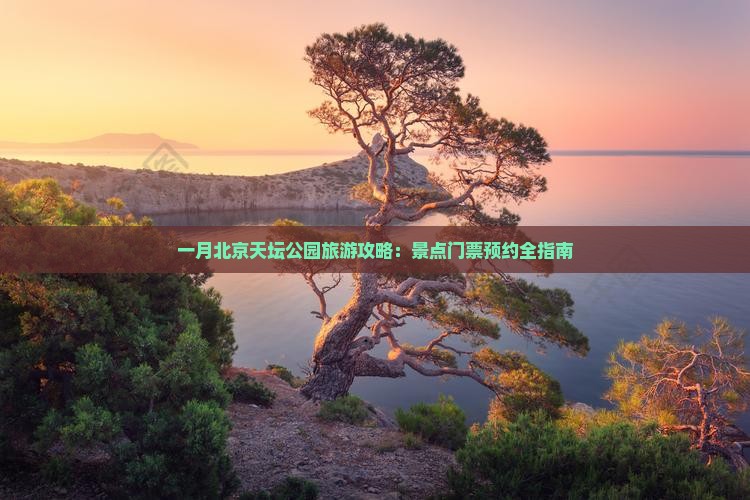 一月北京天坛公园旅游攻略：景点门票预约全指南