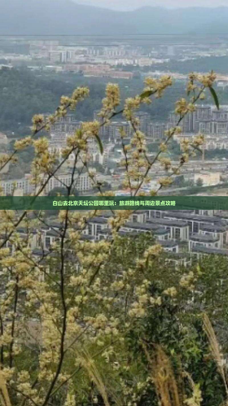 白山去北京天坛公园哪里玩：旅游路线与周边景点攻略