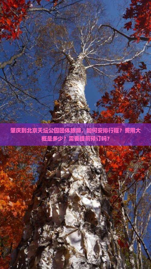 肇庆到北京天坛公园团体旅游，如何安排行程？费用大概是多少？需要提前预订吗？