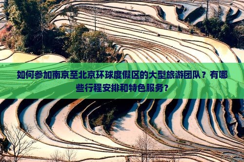 如何参加南京至北京环球度假区的大型旅游团队？有哪些行程安排和特色服务？
