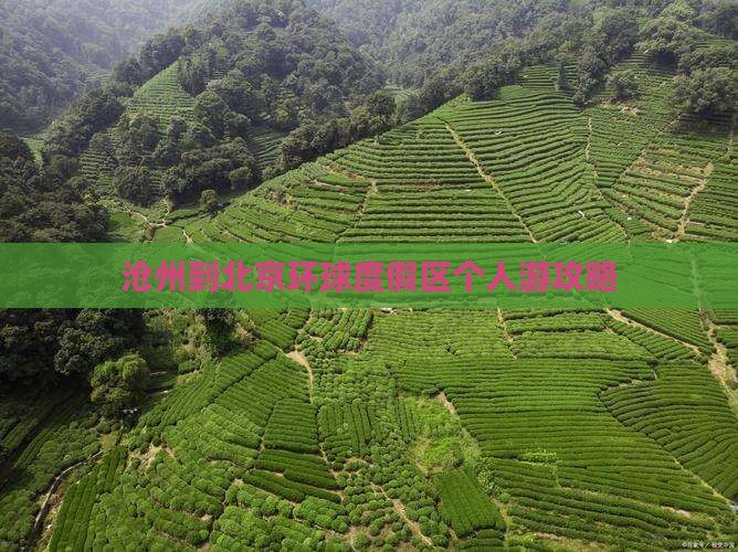 沧州到北京环球度假区个人游攻略