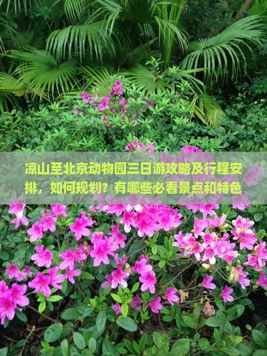 凉山至北京动物园三日游攻略及行程安排，如何规划？有哪些必看景点和特色活动？