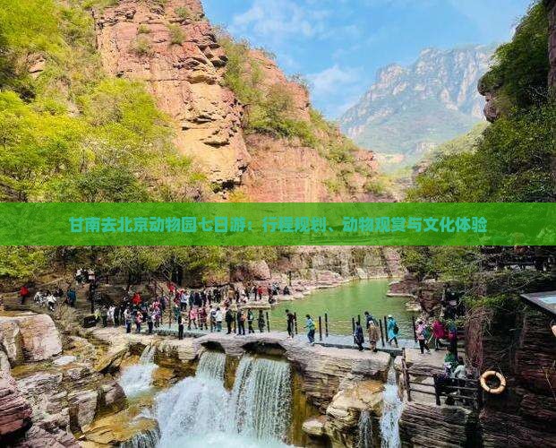 甘南去北京动物园七日游：行程规划、动物观赏与文化体验