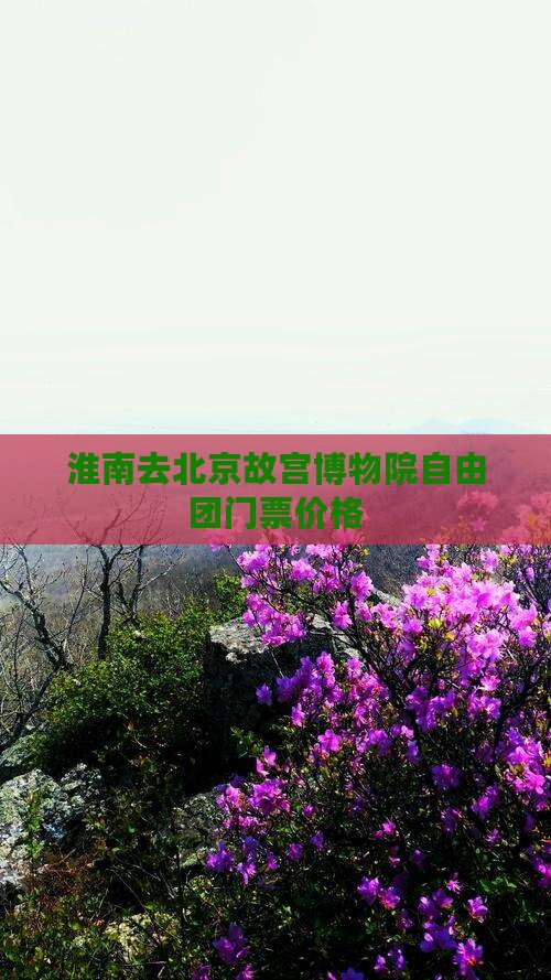 淮南去北京故宫博物院自由团门票价格
