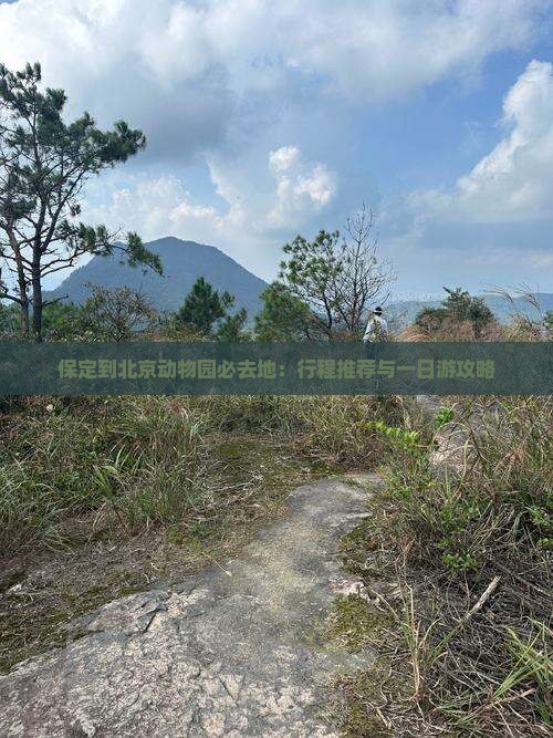 保定到北京动物园必去地：行程推荐与一日游攻略