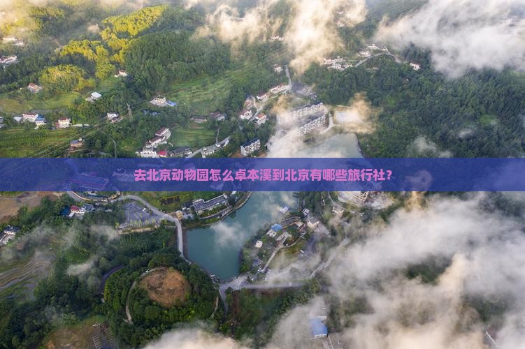 去北京动物园怎么卓本溪到北京有哪些旅行社？