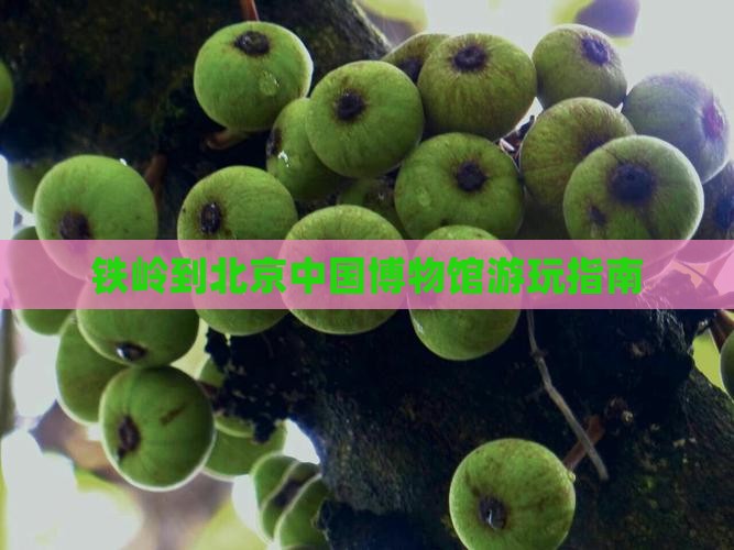 铁岭到北京中国博物馆游玩指南