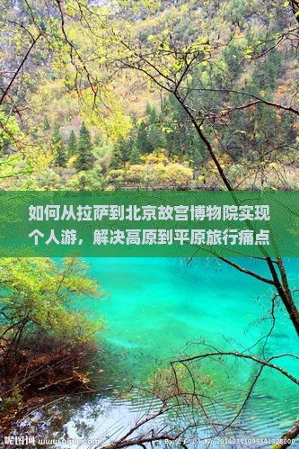 如何从拉萨到北京故宫博物院实现个人游，解决高原到平原旅行痛点？