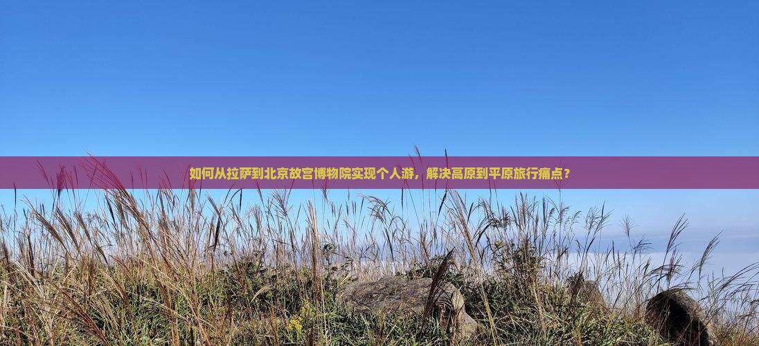 如何从拉萨到北京故宫博物院实现个人游，解决高原到平原旅行痛点？