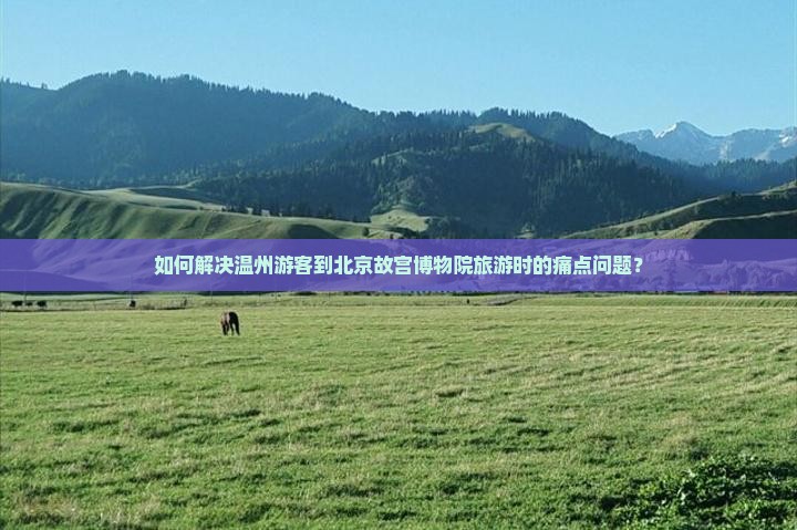 如何解决温州游客到北京故宫博物院旅游时的痛点问题？