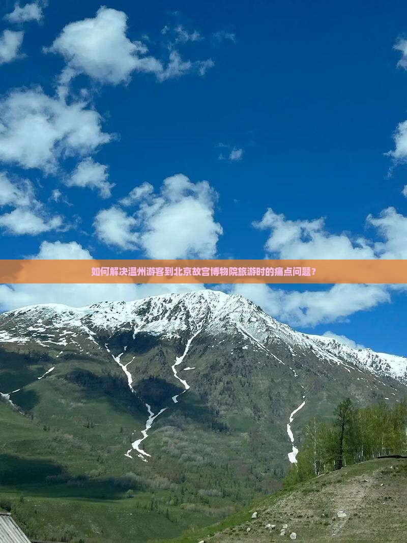 如何解决温州游客到北京故宫博物院旅游时的痛点问题？