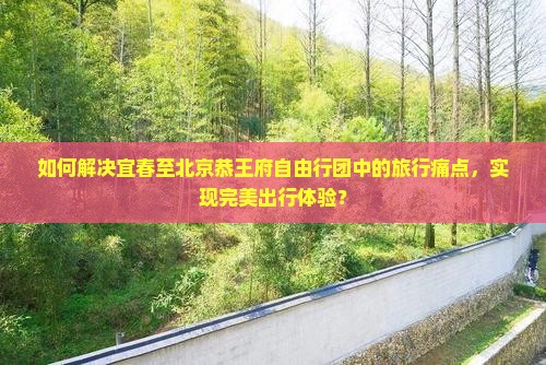 如何解决宜春至北京恭王府自由行团中的旅行痛点，实现完美出行体验？