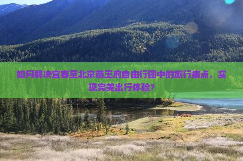 如何解决宜春至北京恭王府自由行团中的旅行痛点，实现完美出行体验？