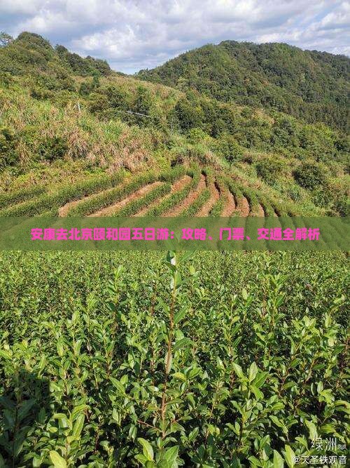 安康去北京颐和园五日游：攻略、门票、交通全解析