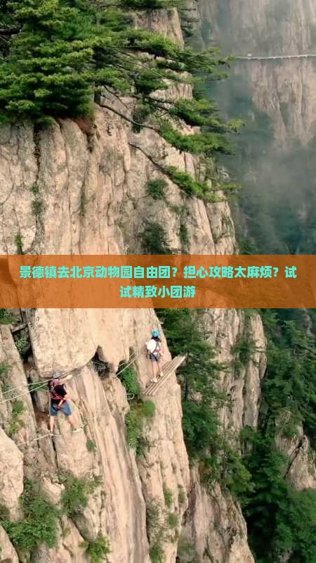 景德镇去北京动物园自由团？担心攻略太麻烦？试试精致小团游