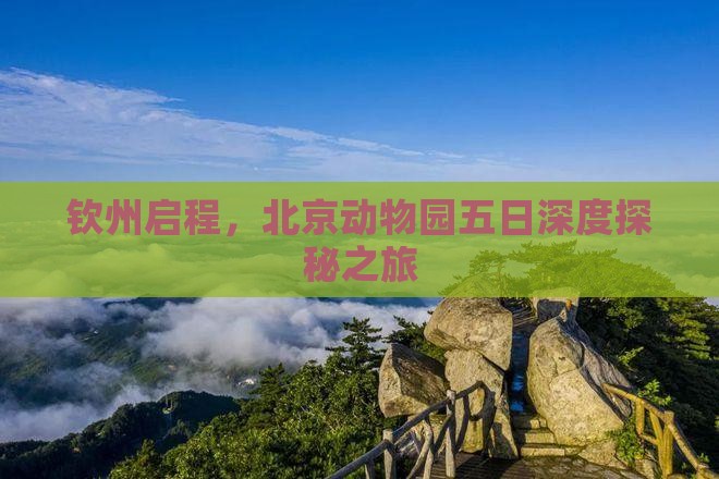 钦州启程，北京动物园五日深度探秘之旅
