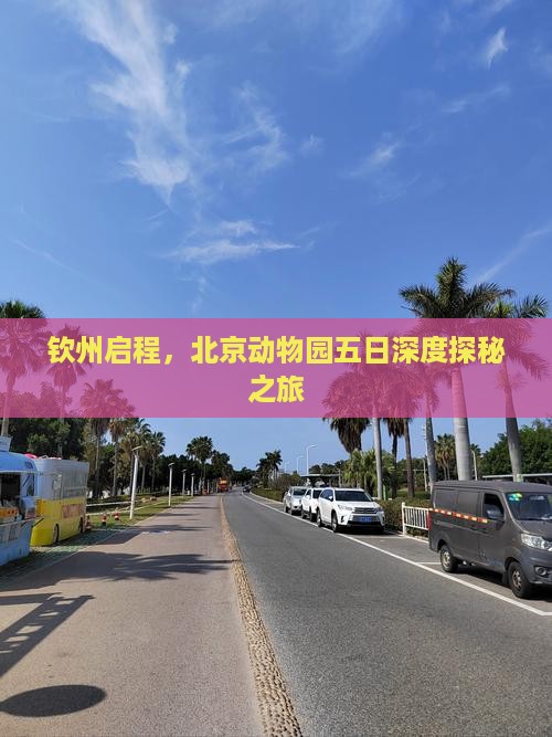 钦州启程，北京动物园五日深度探秘之旅