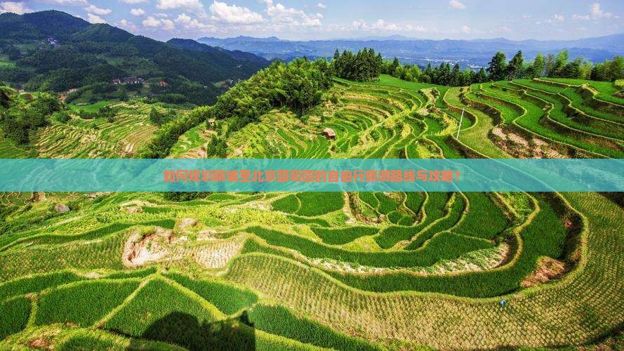 如何规划聊城至北京颐和园的自由行旅游路线与攻略？