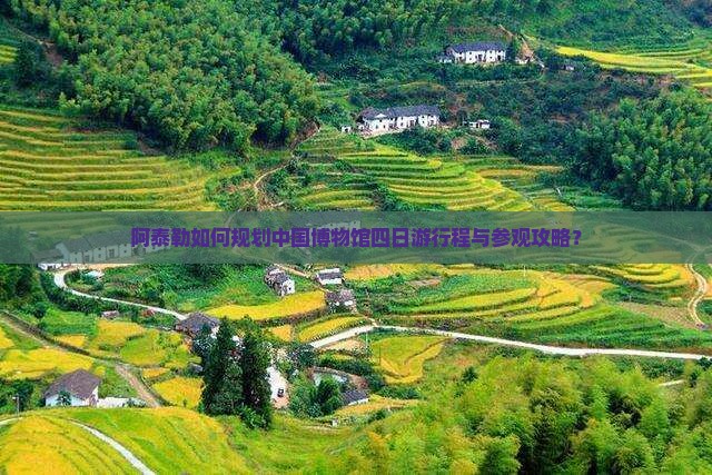 阿泰勒如何规划中国博物馆四日游行程与参观攻略？