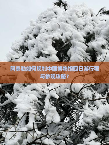 阿泰勒如何规划中国博物馆四日游行程与参观攻略？