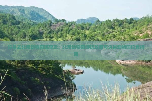 许昌去北京动物园哪里玩：北京动物园游玩攻略与许昌动物园位置指南