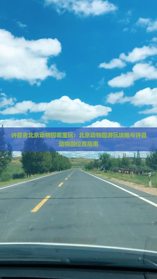 许昌去北京动物园哪里玩：北京动物园游玩攻略与许昌动物园位置指南