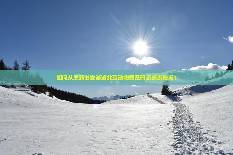 如何从阜新出发游览北京动物园及附近旅游景点？