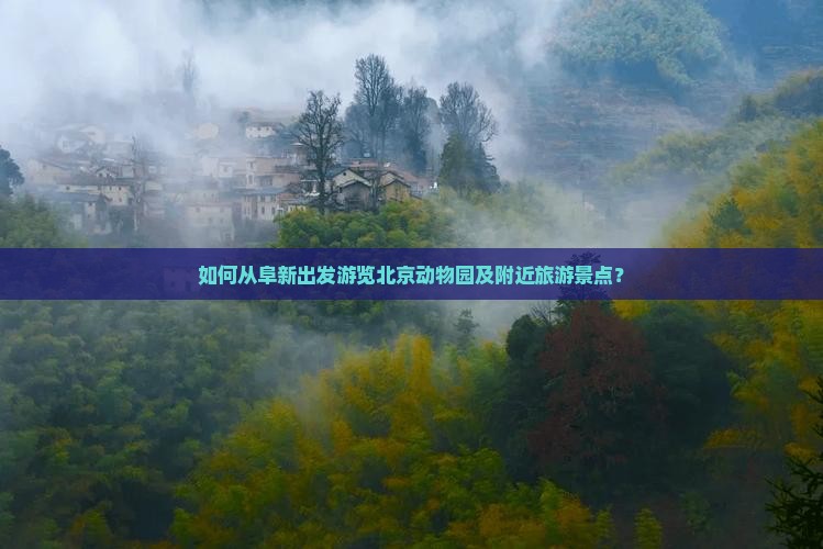 如何从阜新出发游览北京动物园及附近旅游景点？