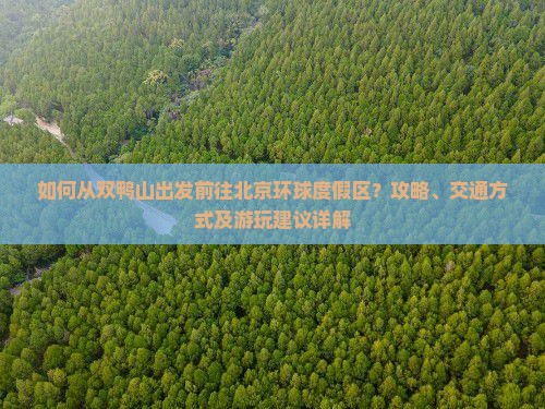 如何从双鸭山出发前往北京环球度假区？攻略、交通方式及游玩建议详解