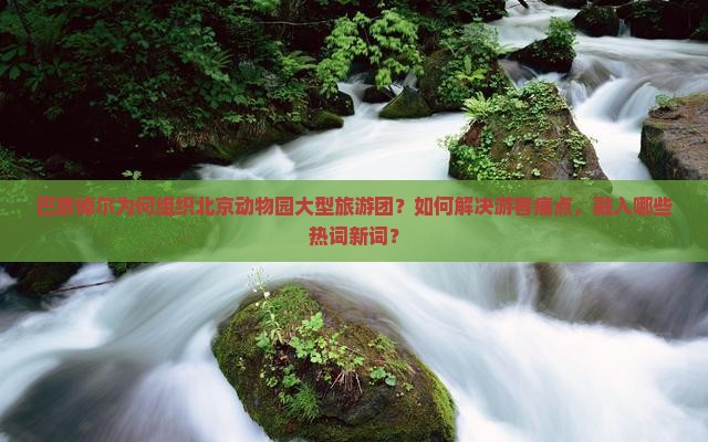 巴彦倬尔为何组织北京动物园大型旅游团？如何解决游客痛点，融入哪些热词新词？