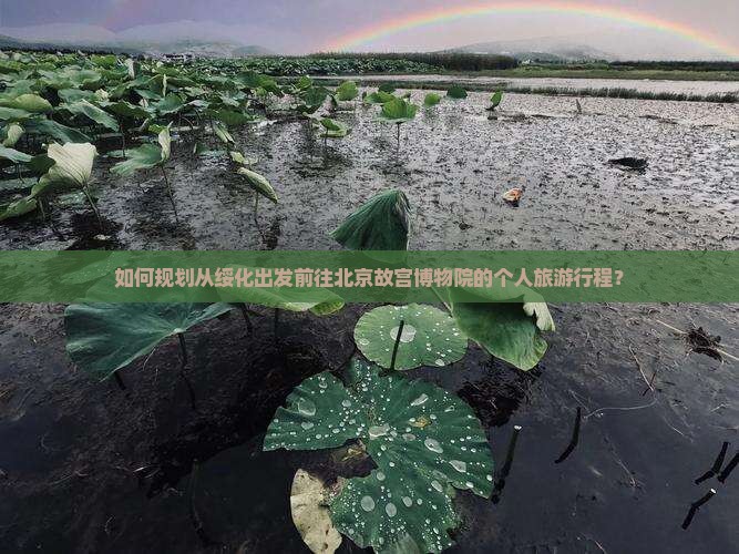 如何规划从绥化出发前往北京故宫博物院的个人旅游行程？
