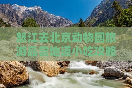 怒江去北京动物园旅游品尝地道小吃攻略