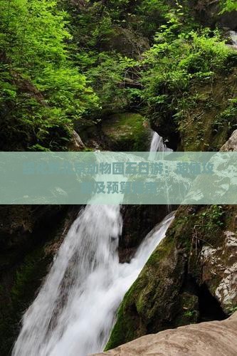 绥化到北京动物园五日游：超值攻略及预算指南