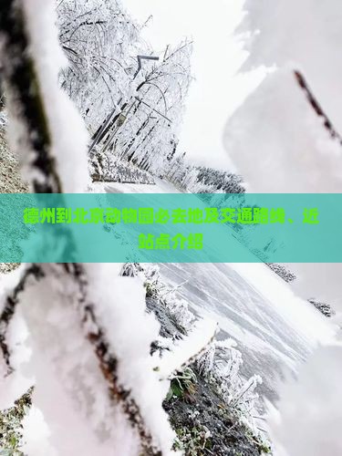 德州到北京动物园必去地及交通路线、近站点介绍