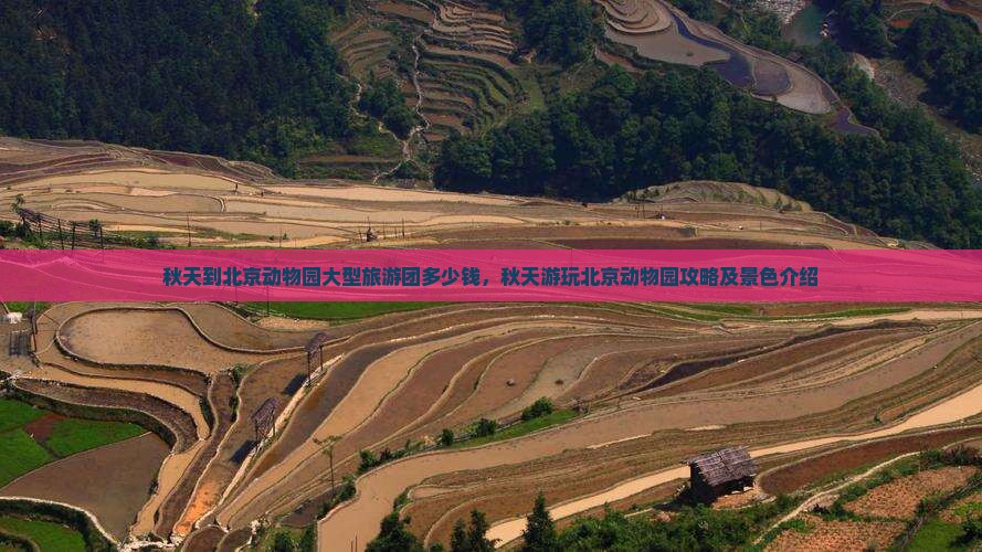 秋天到北京动物园大型旅游团多少钱，秋天游玩北京动物园攻略及景色介绍