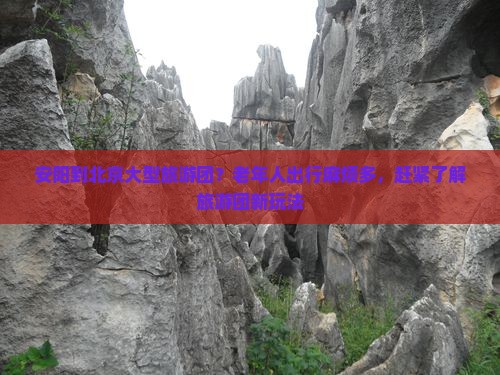 安阳到北京大型旅游团？老年人出行麻烦多，赶紧了解旅游团新玩法