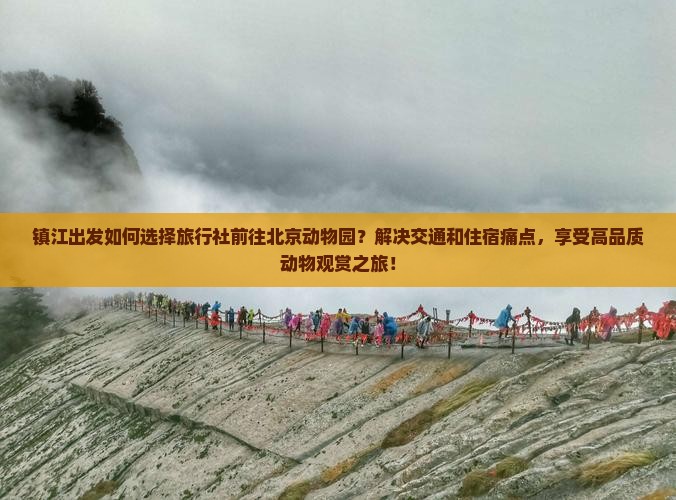 镇江出发如何选择旅行社前往北京动物园？解决交通和住宿痛点，享受高品质动物观赏之旅！
