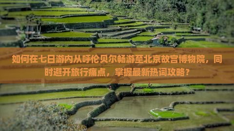 如何在七日游内从呼伦贝尔畅游至北京故宫博物院，同时避开旅行痛点，掌握最新热词攻略？