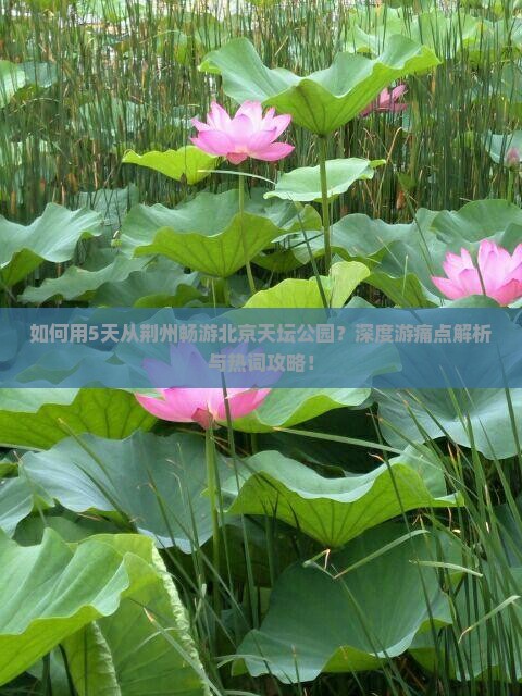 如何用5天从荆州畅游北京天坛公园？深度游痛点解析与热词攻略！
