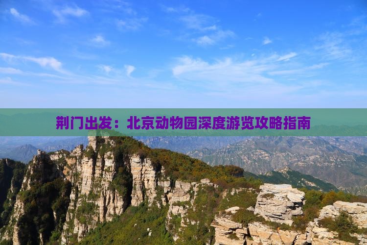 荆门出发：北京动物园深度游览攻略指南