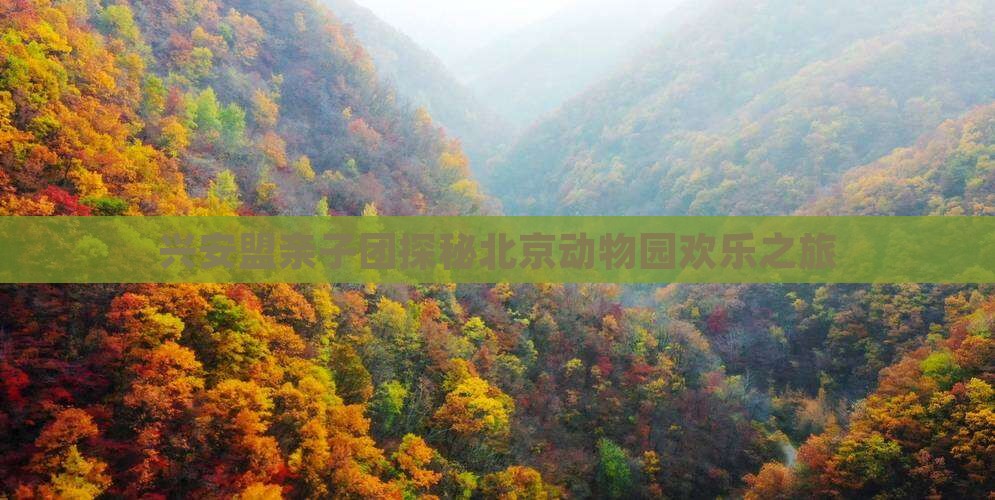 兴安盟亲子团探秘北京动物园欢乐之旅