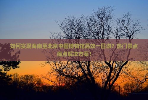 如何实现海南至北京中国博物馆高效一日游？热门景点痛点解决方案！