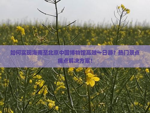如何实现海南至北京中国博物馆高效一日游？热门景点痛点解决方案！