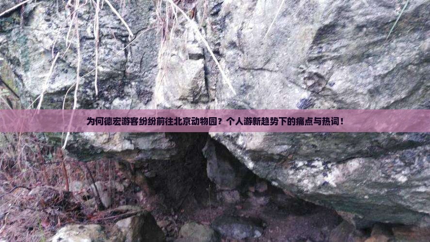 为何德宏游客纷纷前往北京动物园？个人游新趋势下的痛点与热词！
