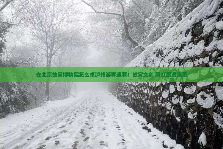 去北京故宫博物院怎么卓泸州游客速看！故宫文创+网红展览来袭